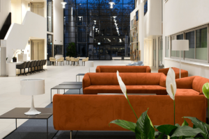 Office Consign Healing Environment